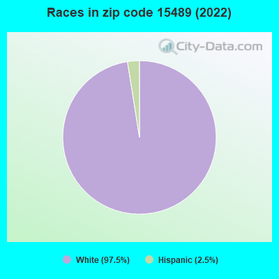 Races in zip code 15489 (2019)
