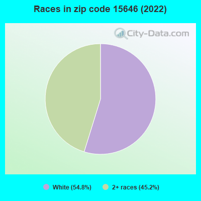 Races in zip code 15646 (2022)