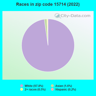 Races in zip code 15714 (2019)