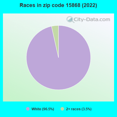 Races in zip code 15868 (2022)