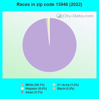 Races in zip code 15946 (2019)