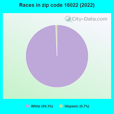 Races in zip code 16022 (2019)
