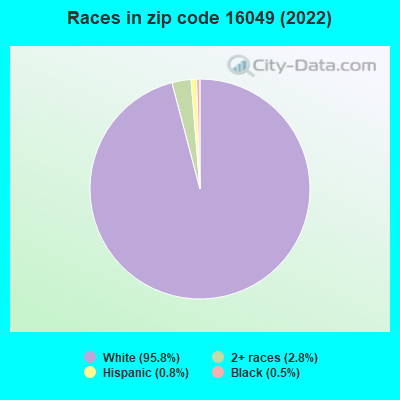 Races in zip code 16049 (2022)