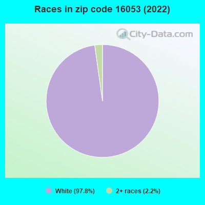 Races in zip code 16053 (2019)