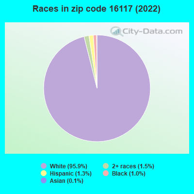 Races in zip code 16117 (2022)
