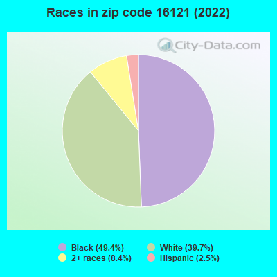 Races in zip code 16121 (2019)