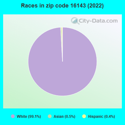 Races in zip code 16143 (2022)
