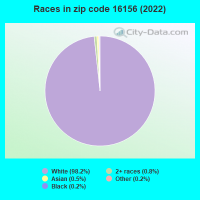 Races in zip code 16156 (2019)