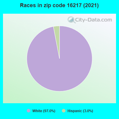 Races in zip code 16217 (2019)