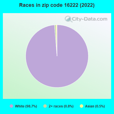 Races in zip code 16222 (2019)