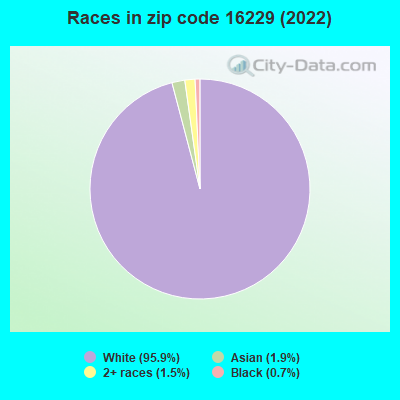 Races in zip code 16229 (2022)