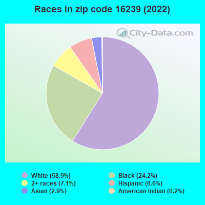 Races in zip code 16239 (2022)