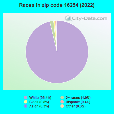 Races in zip code 16254 (2019)