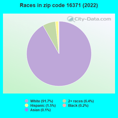 Races in zip code 16371 (2019)