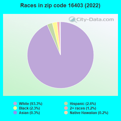 Races in zip code 16403 (2019)