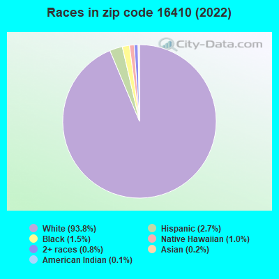 Races in zip code 16410 (2019)
