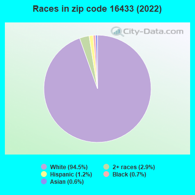 Races in zip code 16433 (2021)