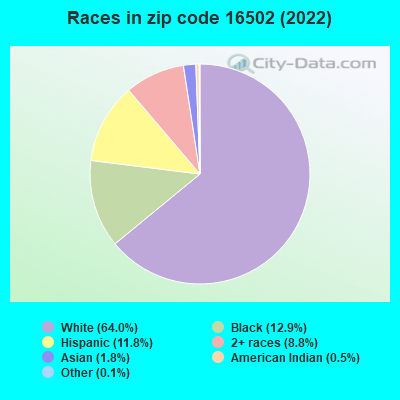 Races in zip code 16502 (2019)
