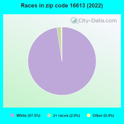 Races in zip code 16613 (2022)