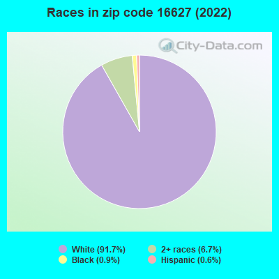 Races in zip code 16627 (2022)