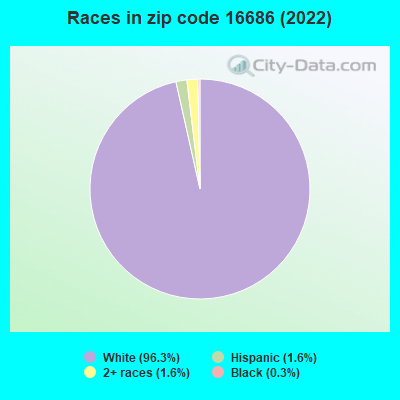 Races in zip code 16686 (2019)