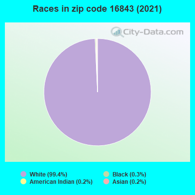 Races in zip code 16843 (2019)