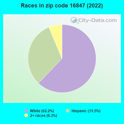Races in zip code 16847 (2022)