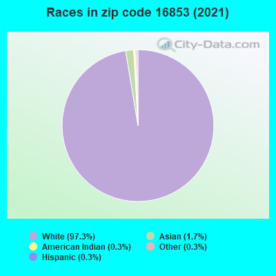 Races in zip code 16853 (2019)