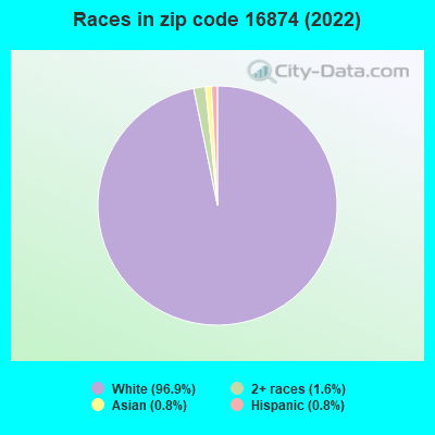 Races in zip code 16874 (2022)