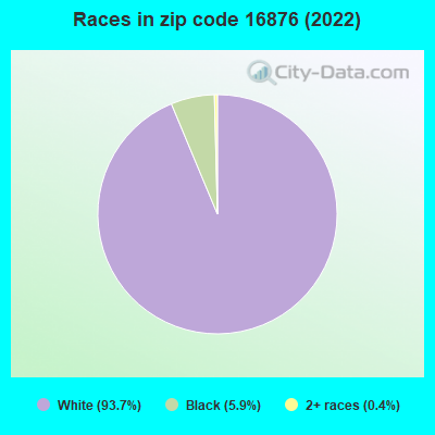 Races in zip code 16876 (2019)