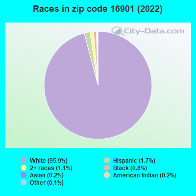 Races in zip code 16901 (2022)
