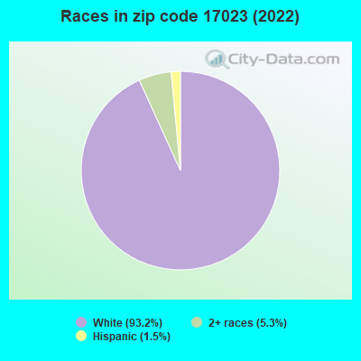 Races in zip code 17023 (2019)