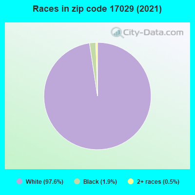 Races in zip code 17029 (2019)