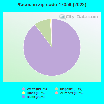 Races in zip code 17059 (2021)