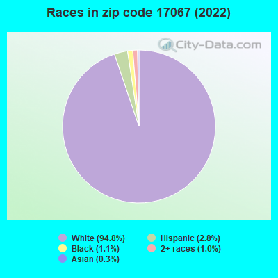 Races in zip code 17067 (2019)