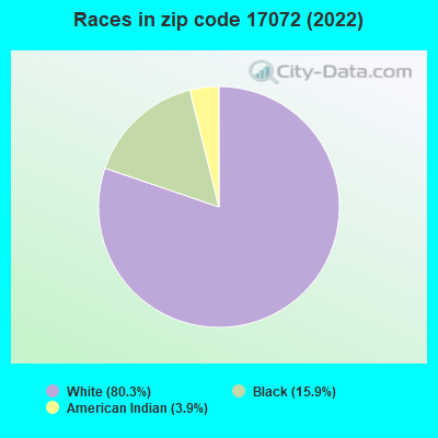 Races in zip code 17072 (2022)