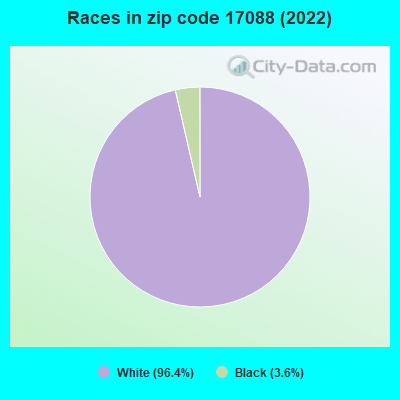 Races in zip code 17088 (2019)