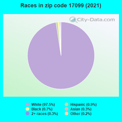 Races in zip code 17099 (2019)