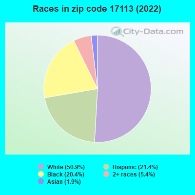 Races in zip code 17113 (2021)