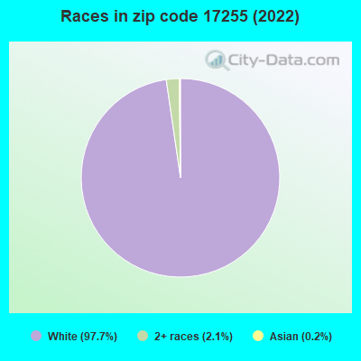 Races in zip code 17255 (2022)