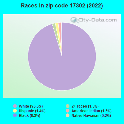 Races in zip code 17302 (2022)