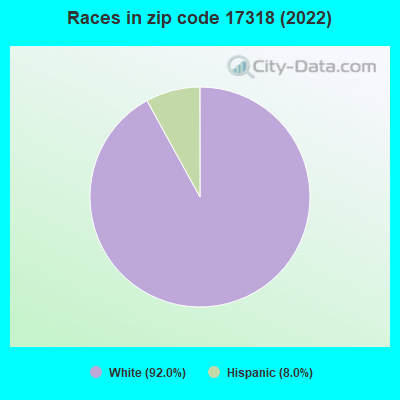 Races in zip code 17318 (2022)