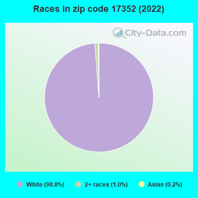 Races in zip code 17352 (2022)