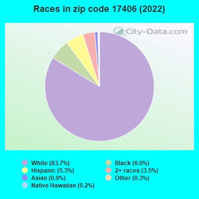 Races in zip code 17406 (2022)