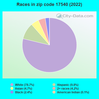 Races in zip code 17540 (2019)