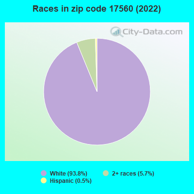 Races in zip code 17560 (2019)