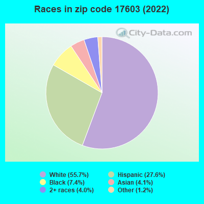 Races in zip code 17603 (2022)