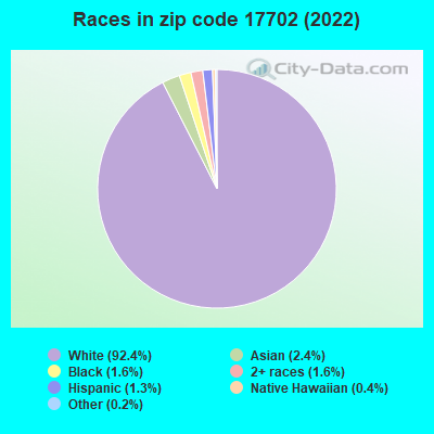 Races in zip code 17702 (2019)