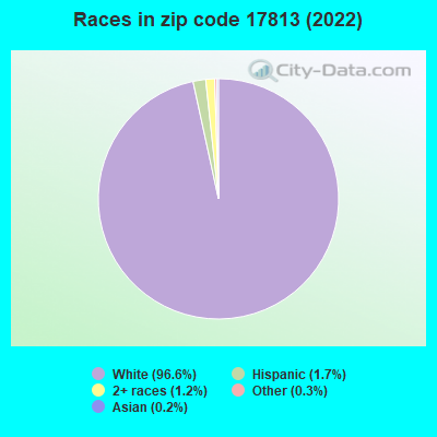 Races in zip code 17813 (2021)