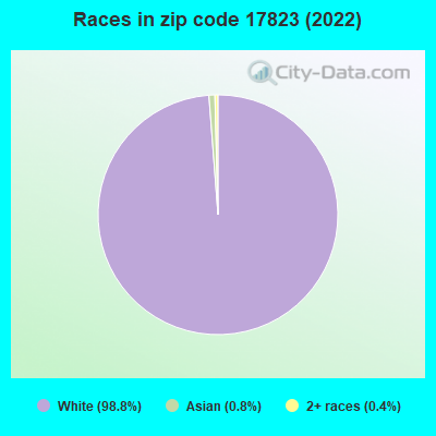 Races in zip code 17823 (2019)